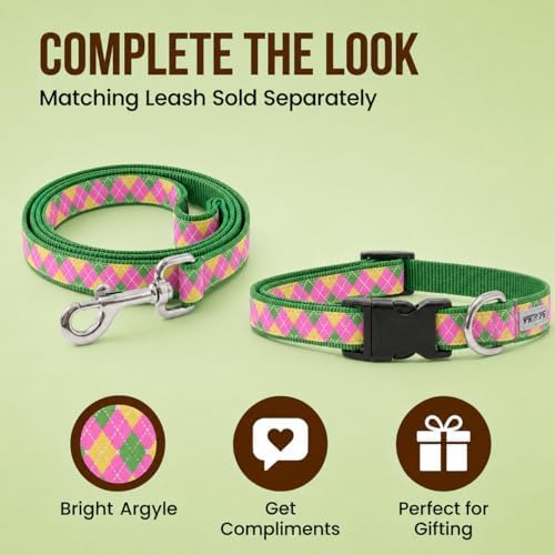 THE WORTHY DOG Summer Print, Adjustable Dog Collar, Small Dogs, Argyle