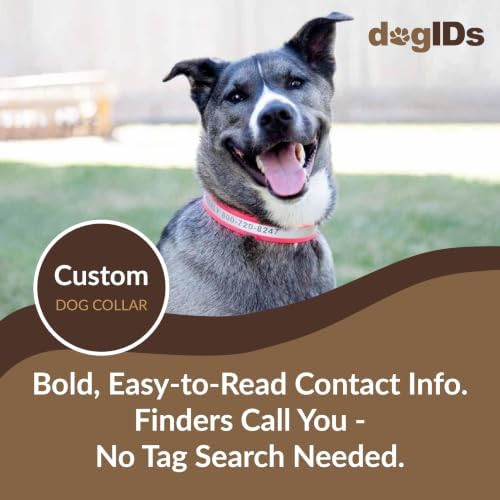 dogIDs Personalized Reflective Waterproof Dog Collar - Custom, Durable, Adjustable, Odor Resistant, Safe, Engraved - Pink, 1 in x 20 in (Fits Neck Sizes: 18-22 in)