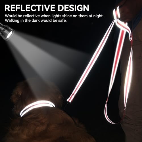 Joytale Reflective Dog Leash for Small Dogs, 4 FT x 3/4", Neon Pink