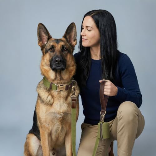 Personalized Dog Collars, Quick Release Buckle, Olive Green,XL