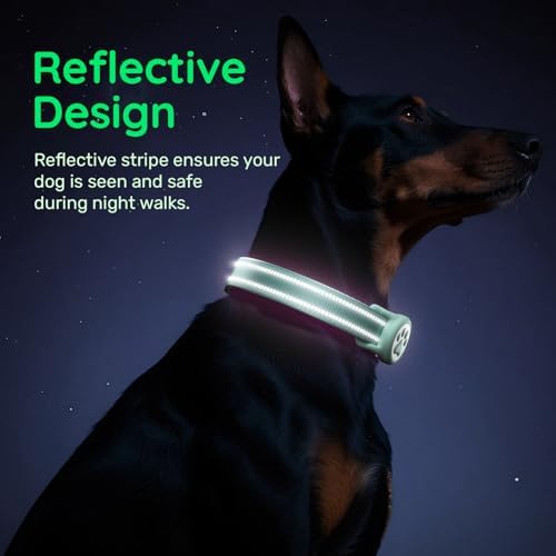 Premium Airtag Dog Collar，with IP68 Waterproof AirTag Holder,Green,S