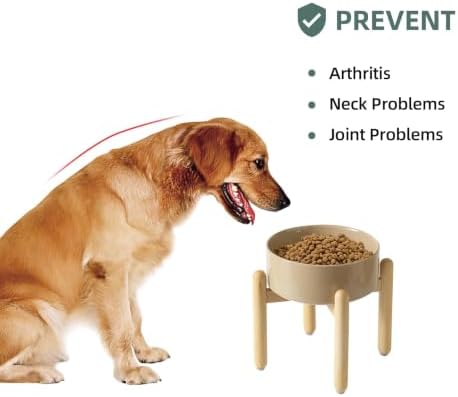 Havniva Ceramic Dog Bowls Elevated, Raised Dog Food Bowl for Small Dogs