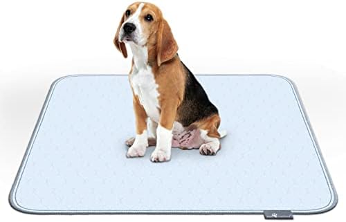 Paw Inspired Washable Pee Pads for Dogs, 34x36 Inch, 2 Pack