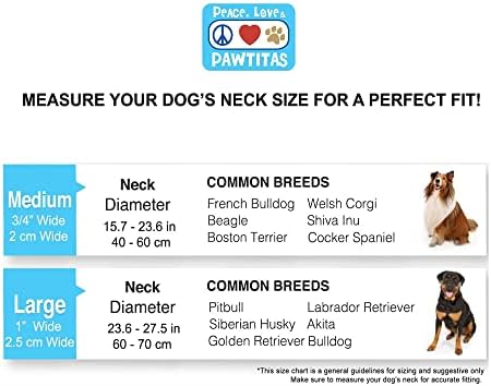 Pawtitas Martingale Dog Collar with Chain - Reflective Nylon No Pull Collar for Large Dogs - Teal