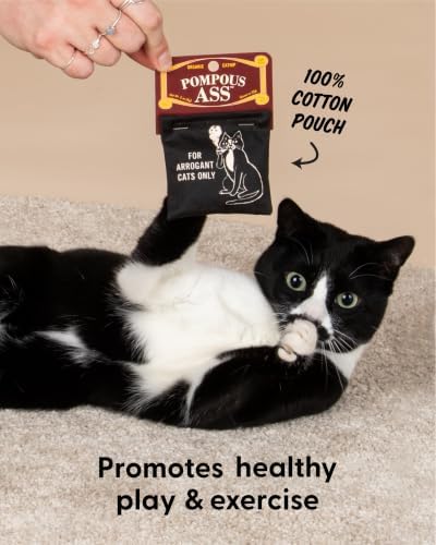 Blue Q Catnip - Cute Cat Toys for Biting with Funny Graphics - Pompous.