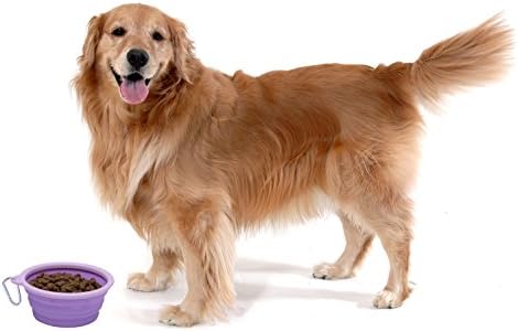 Prima Pet Collapsible Silicone Water Travel Bowl with Clip for Dog and Cat, Portable and Durable Pop-up Feeder for Convenient On-The-go Feeding – Size: Large (5 Cups) Purple