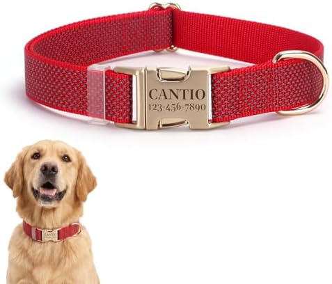 Custom Dog Collar with Name and Phone Number