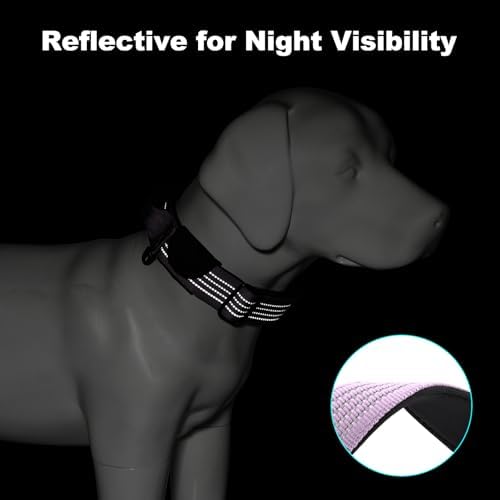 Plutus Pet Tactical Dog Collar with Pocket for AirTag, Purple, M