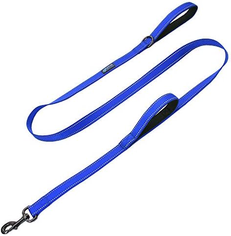 Max and Neo™ Double Handle Traffic Dog Leash Reflective - We Donate a Leash to a Dog Rescue for Every Leash Sold (Blue)