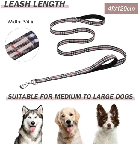 Hikiko 4FT Dog Leash Padded Double Handle with Designed Pattern