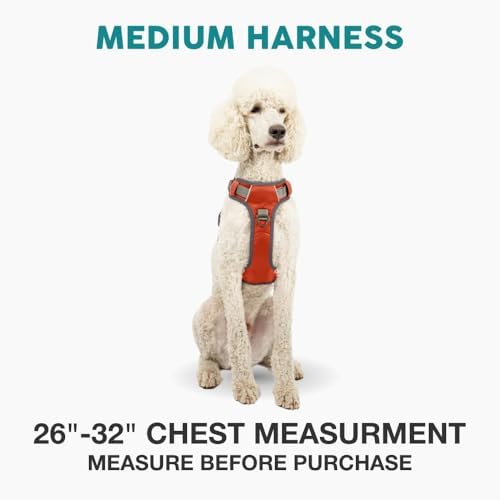 Embark No Pull Dog Harness, Reflective Adjustable Training Vest, No Choke