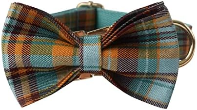 Custom Dog Collar with Names and Phone Number Engraved, Puppy Tags Personalized for Small Medium Large Pets