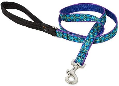 LupinePet Originals 3/4" Rain Song 6-Foot Padded Handle Leash for Medium and Larger Dogs