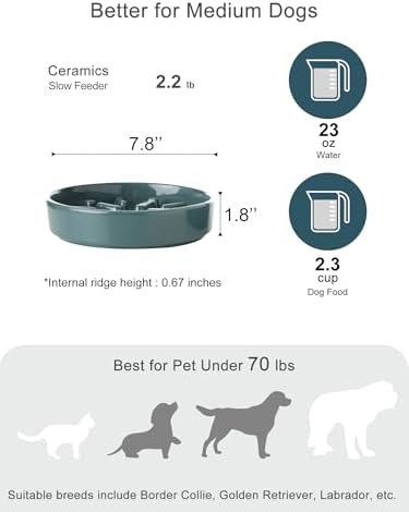 Ceramic Slow Feeder Dog Bowl, Blue, Medium
