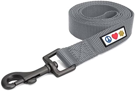 Pawtitas Solid 6 ft Grey Dog Leash M/L Custom Name and Phone Embroidery Strong Nylon Leash for Medium and Large Breeds