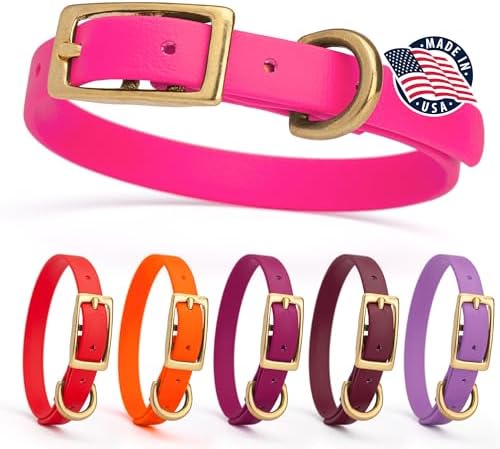 Viper Biothane Heavy Duty Waterproof Dog Collar Strong Coated Nylon Webbing w/Solid Brass Hardware Odor-Proof Easy to Clean High Performance Fits Small Medium or Large Dogs, Passionfruit Pink