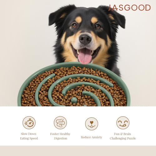 JASGOOD Slow Feeder Dogs Bowl for Large Medium Dogs,Anti-Gulping Pet Slower Food Feeding Bowls