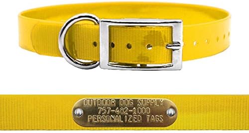 Heavy Duty Waterproof D-Ring Dog Collar w Custom Name Tag, SCH Bus Yellow