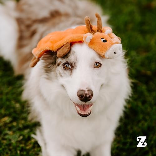 ZippyPaws Squeakie Crawler No Stuffing Dog Toy to Keep Them Busy - 10"