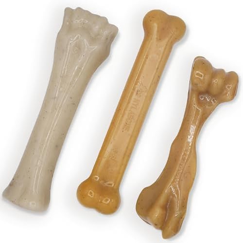 Nylabone Strong Chew Gourmet Style Dog Chew Toy Bundle, Large, 3 Count