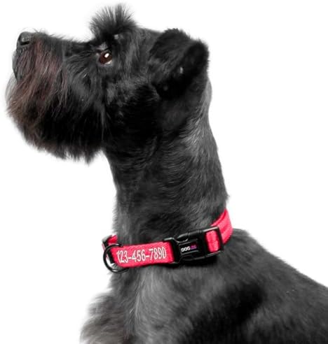 Dogline Hot Pink Customizable Personalized Nylon Collar (W: 3/4" L: 13"-20")