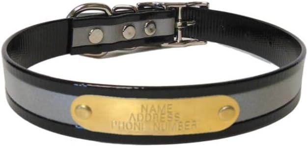 Reflective Dayglo Dog Collar Free Engraved Brass ID tag USA (23 inch Fits 17-21 inch Neck,Black)