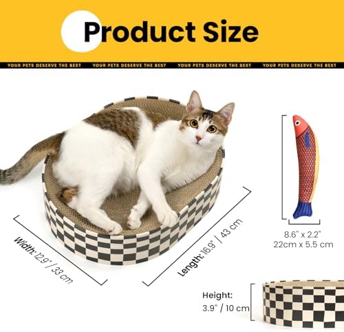 Conlun Oval Cat Scratcher Bed | Scratching Bowl Lounge for Kittens | Medium