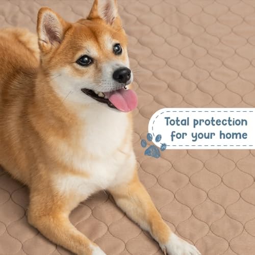EZwhelp Washable Dog Training Pads - Reusable Waterproof Whelping - 41x41in