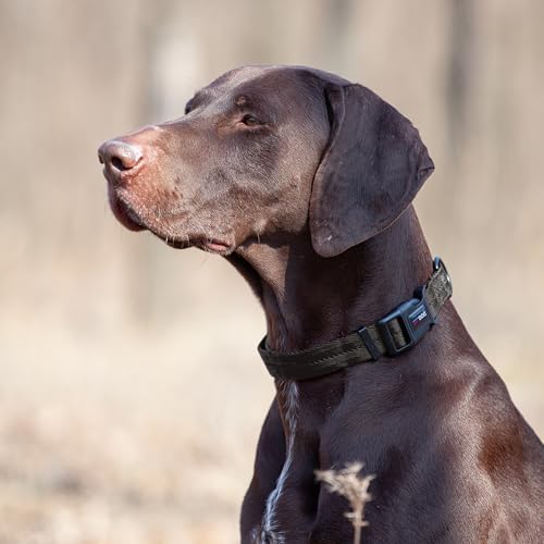 Dogline Black Nylon Collar (W: 1" L: 16"-24")