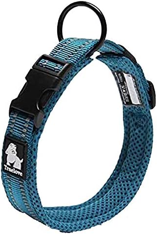 True Love Padded Reflective Breathable Nylon Dog Collar, Blue, L