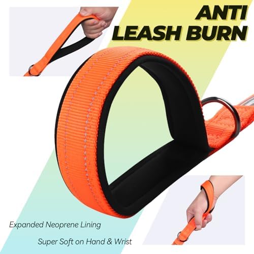 VIVAGLORY Double Handle Dog Leash Twingrip, 4ft x 1in, Orange