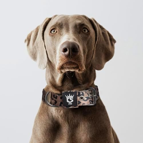 TSPRO Heavy Duty Thick Dog Collar with Metal Buckle for Medium Dogs