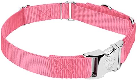 Country Brook Petz - Martingale Dog Collar - Heavy Duty Nylon Adjustable Martingale Dog Collar with Metal Buckle for Small Medium Large Breeds 30+ Color Options (1 Inch, Medium, Pink)