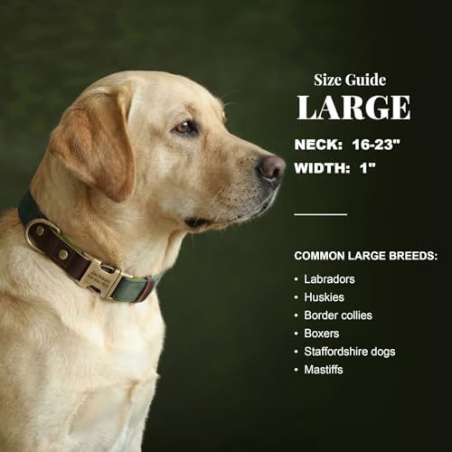 Personalized PU Leather Dog Collars,Quick Release Buckle,Green,L