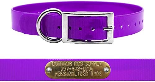 Heavy Duty Waterproof D-Ring Dog Collar w Custom Name Tag, Purple 21"