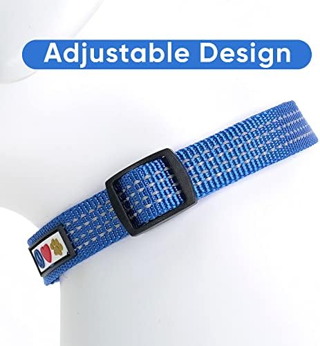 Pawtitas Reflective Dog Collar for Small Dogs – Adjustable Nylon Puppy Collar with Quick-Release Buckle | Fits Neck 11–16 in | Night Safety Training Collar | S | Blue