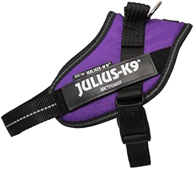 Julius-K9 IDC Powerharness, Size: S/Mini, Dark Purple