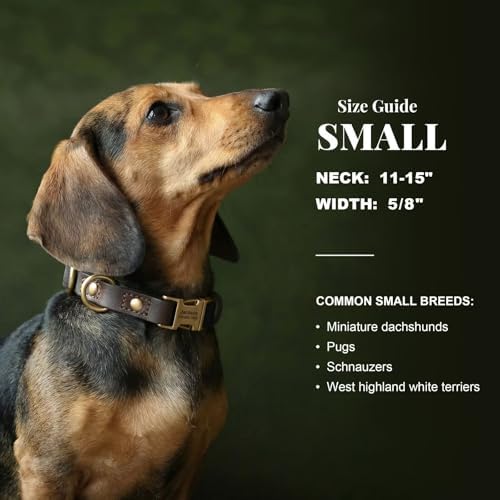 Personalized PU Leather Dog Collars,Quick Release Buckle,Black,S
