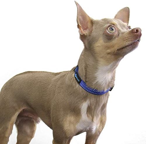 Max and Neo Neo Nylon Buckle Reflective Dog Collar - We Donate a Collar to a Dog Rescue for Every Collar Sold (X-Small, Orange)