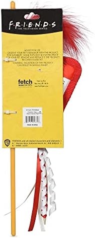 Friends The TV Show Cat Toy Joey Loves Pizza Catnip Wand, Catnip Inside | Friends for Pets | Interactive Toy for Cats, Dancing Teaser with Ribbons | Cat Exercise Toy with Feathers and Catnip
