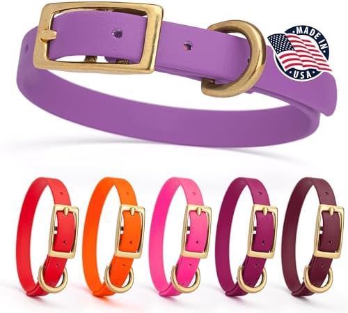 Viper Biothane Heavy Duty Waterproof Dog Collar Strong Coated Nylon Webbing w/Solid Brass Hardware Odor-Proof for Easy Care to Clean High Performance Fits Small Medium or Large Dogs, Amethyst Purple
