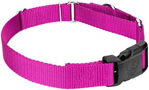 Martingale Dog Collar - Heavy Duty Nylon Adjustable Martingale Dog Collar with Plastic Buckle for Small Medium Large Breeds - 30+ Colors (1 Inch, Large, Fuchsia)