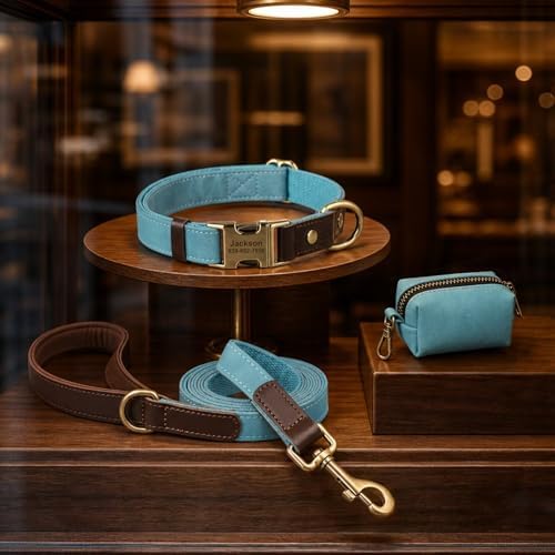 Personalized Dog Collars, Quick Release Buckle, Denim Blue,L