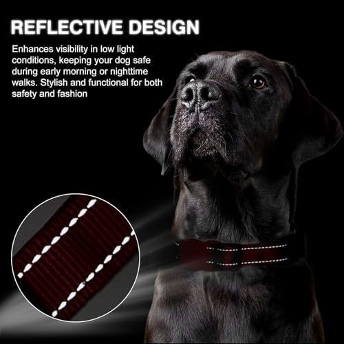 Personalized Nylon Dog Collar with Embroidered Name, Pink