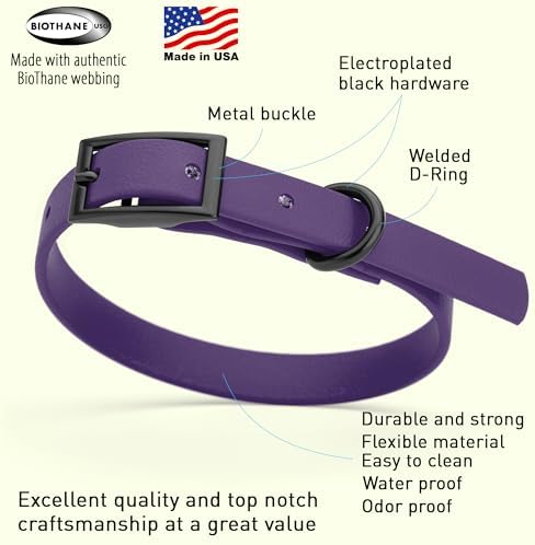 Dogline Biothane Waterproof Dog Collar Strong Coated Nylon Webbing with Black Hardware Odor- Proof for Easy Care Easy to Clean High Performance Fits Small Medium or Large Dogs, Violet Purple