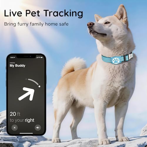 Waterproof AirTag Dog Collar with QR Code Dog Tag, Blue02 M