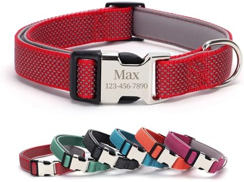 Personalized Dog Collars with Name and Phone