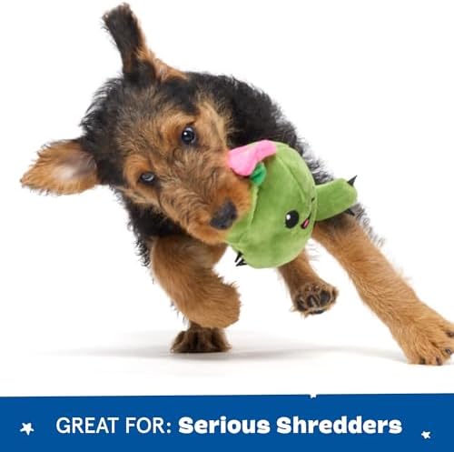 BarkBox Consuela the Cactus 2-in-1 Interactive Plush Dog Toy