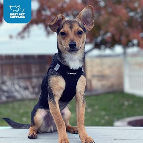 Voyager Step-in Air Dog Vest Harness - Black/Black Trim, Medium
