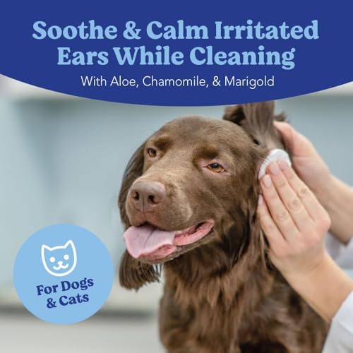 Angels' Eyes Dog & Cat Ear Wipes 100ct